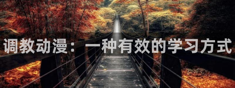 亚洲成人动漫天堂：调教动漫：一种有效的学习方式