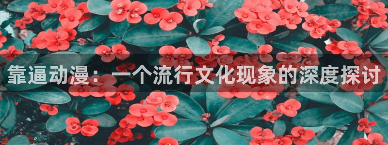 bt动漫天堂：靠逼动漫：一个流行文化现象的深度探讨