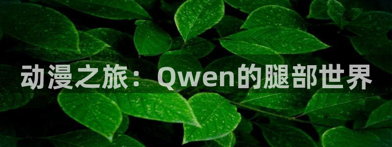 成人动漫天堂网：动漫之旅：Qwen的腿部世界