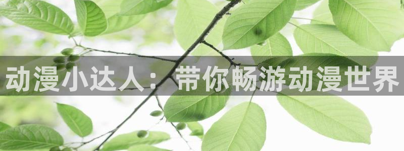 bt动漫天堂：动漫小达人：带你畅游动漫世界