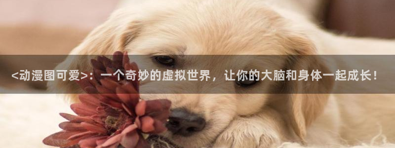 动漫天堂软件：<动漫图可爱>：一个奇妙的虚拟世界，让你的大脑和身体一起成长！