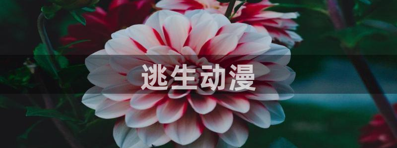 动漫天堂免费观看：逃生动漫