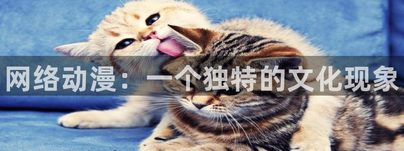 黄动漫天堂：网络动漫：一个独特的文化现象
