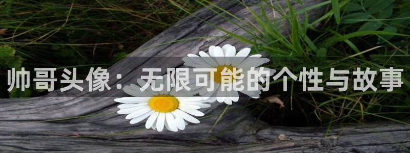亚洲成人动漫天堂：帅哥头像：无限可能的个性与故事