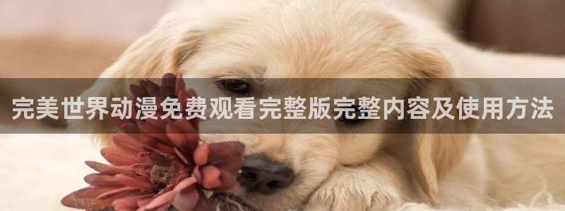 动漫天堂之吻：完美世界动漫免费观看完整版完整内容及使用方法