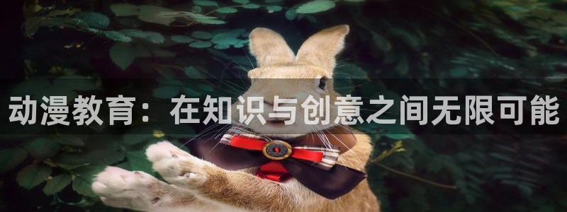 原神禁动漫天堂：动漫教育：在知识与创意之间无限可能