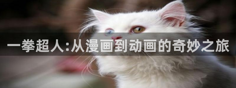 动漫天堂电影：一拳超人:从漫画到动画的奇妙之旅