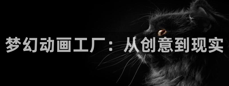 动漫天堂在线观看：梦幻动画工厂：从创意到现实