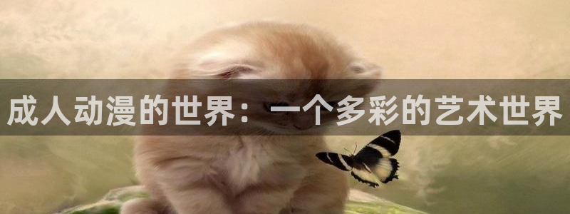 动漫天堂18：成人动漫的世界：一个多彩的艺术世界